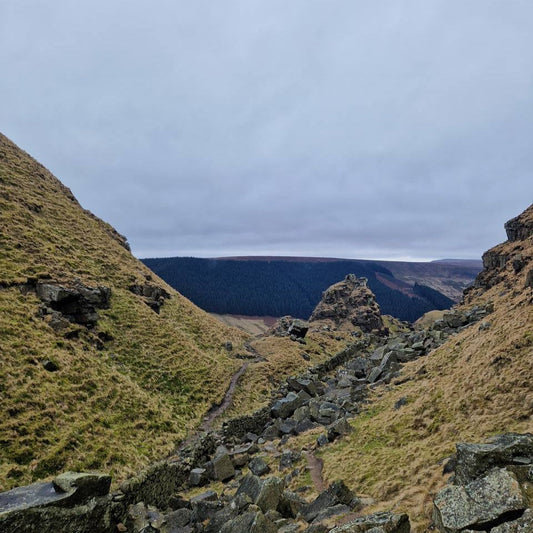 Alport Castles